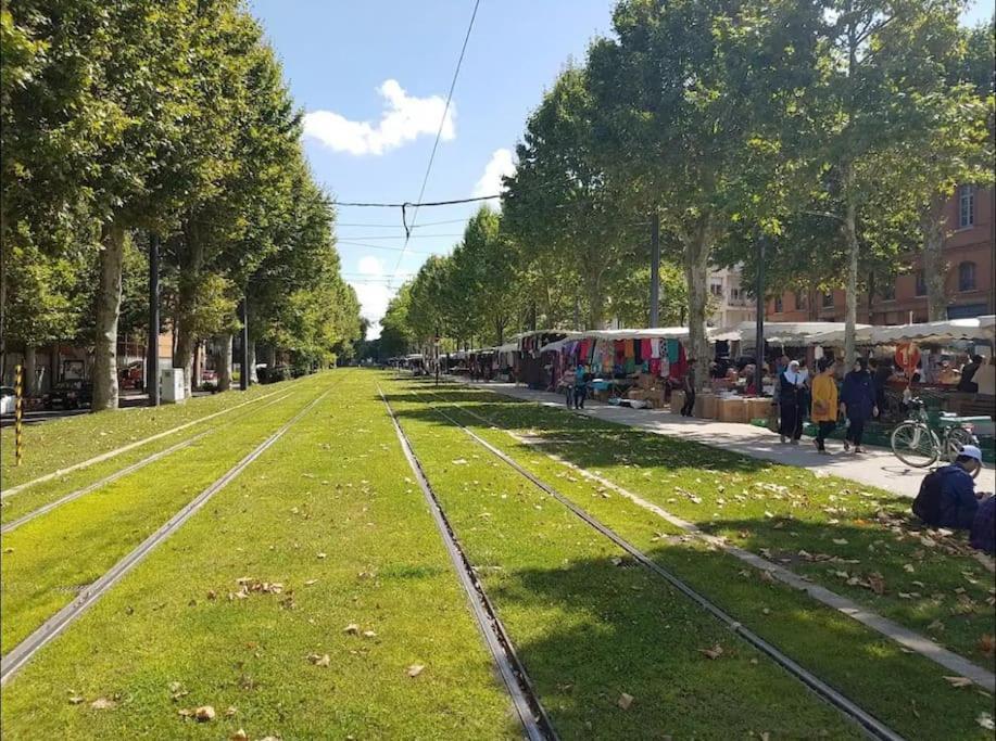 Le Studio Jardin D'Eden Metro Palais De Justice Lägenhet Toulouse Exteriör bild